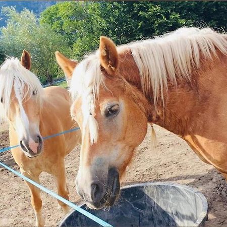 מונז'ובט Relax Home,Nel Cuore Della Valle D'Aosta מראה חיצוני תמונה